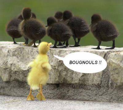 ptit